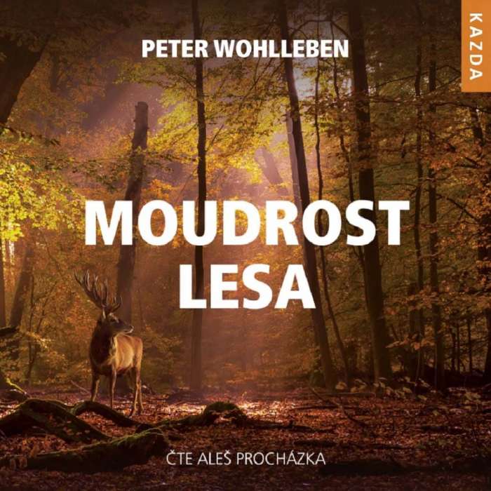 Audiokniha Moudrost lesa - Peter Wohlleben (Aleš Procházka) - ProgresGuru