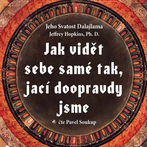 Audiokniha Jak vidět sebe samé tak, jací doopravdy jsme - Dalajlama Jeffrey Hopkins (Pavel Soukup) - ProgresGuru