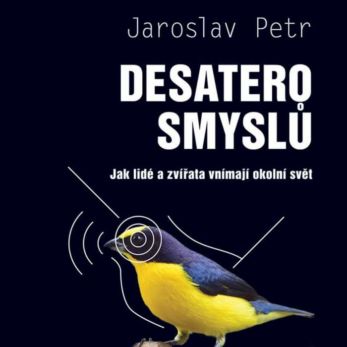 Audiokniha Desatero smyslů - Jaroslav Petr (Zbyšek Horák) - ProgresGuru