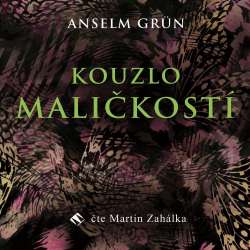 Audiokniha Kouzlo maličkostí - Anselm Grun (Martin Zahálka) - ProgresGuru