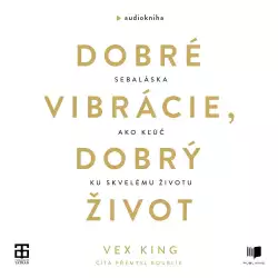 Audiokniha Dobré vibrácie, dobrý život | Vex King (Přemysl Boublík) | ProgresGuru