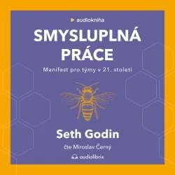Mistrovství v podnikání: Seth Godin - Set 3 audioknih