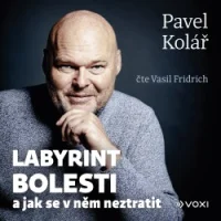 Audiokniha Labyrint bolesti - Pavel Kolář (Vasil Fridrich) | ProgresGuru