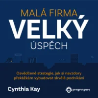 Audiokniha Malá firma, velký úspěch - Cynthia Kay (Vendula Wronka Fialová) | ProgresGuru